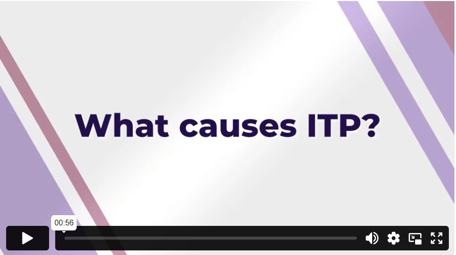 Title graphic of What Causes ITP video
