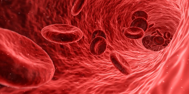 blood cells3