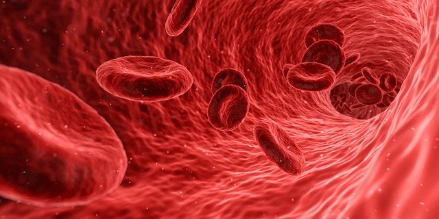 Illustration inside blood vessel