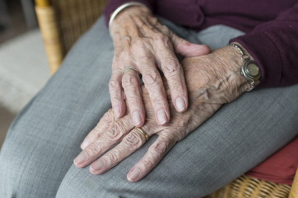 Elderly woman's hands