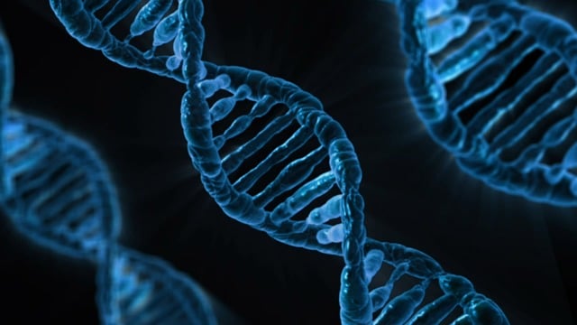 3 strands of dna floating