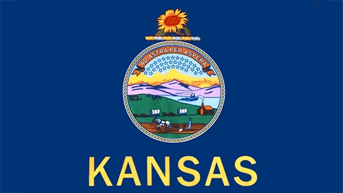 Kansas flag