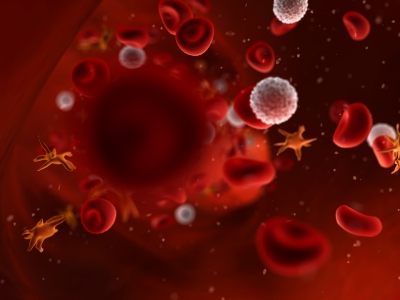 Platelets