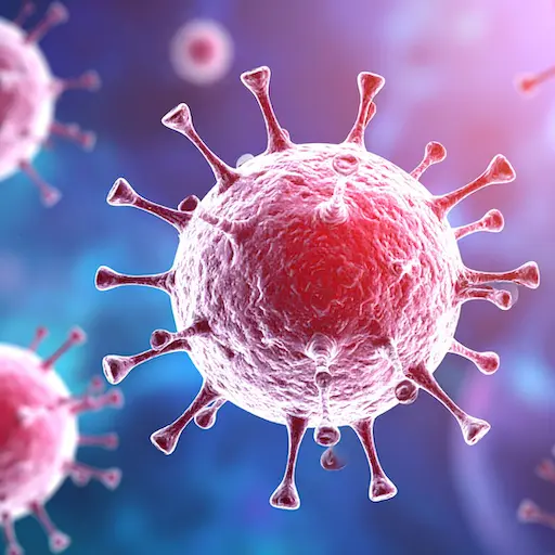 PDSA-ITP-Coronavirus